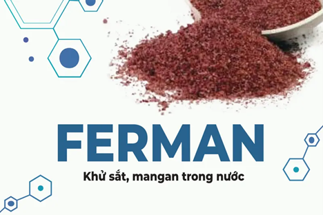 Hạt ferman: chuyên gia hàng đầu khử sắt và mangan trong nước